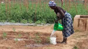 Tuinbouwproject - Kinderen Van Lamin