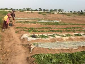 Tuinbouwproject - Kinderen Van Lamin