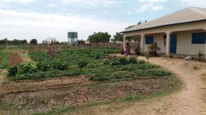 Tuinbouwproject - Kinderen Van Lamin