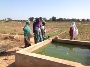 Tuinbouwproject - Kinderen Van Lamin